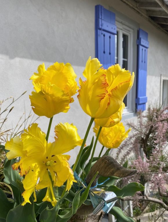 Le gîte chez Madeleine - Chez Madeleine gîte