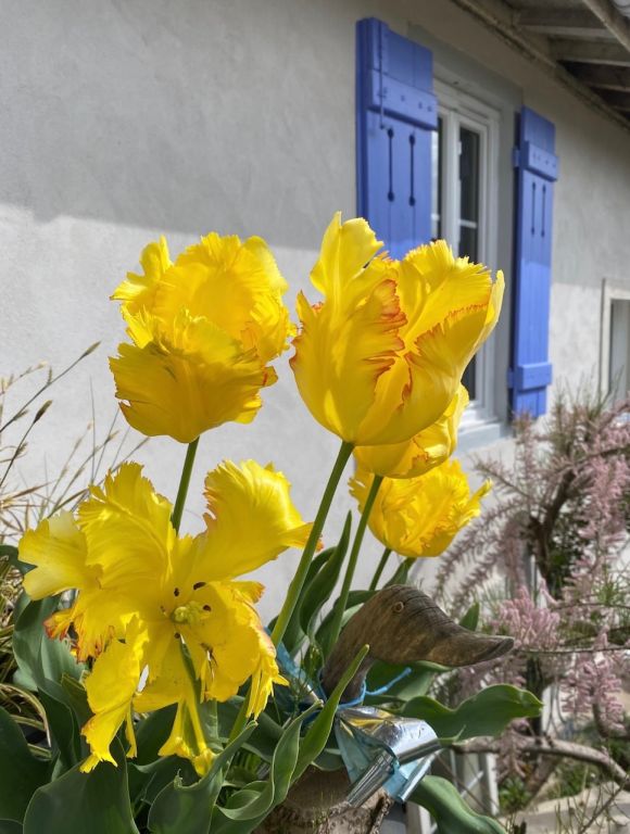 Le gîte Chez Madeleine - Chez Madeleine gîte